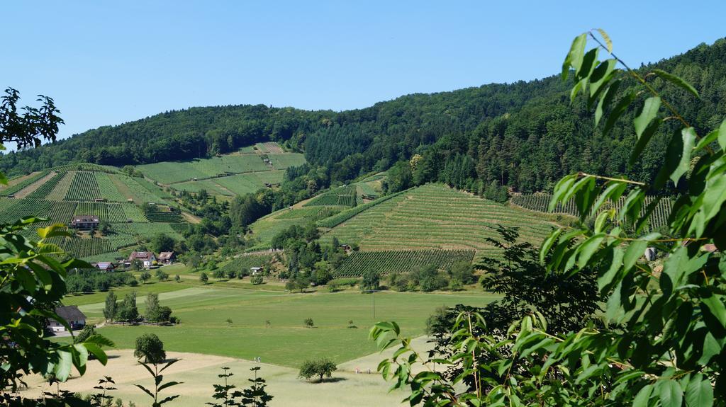 Hotel Schwarzenbergs Traube Glottertal Εξωτερικό φωτογραφία